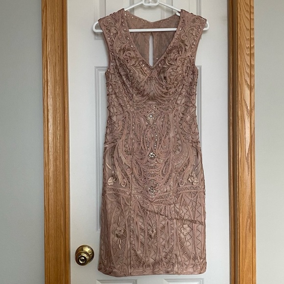 Sue Wong Nocturne Blush Pink Beaded Lace Dress Size 2 - Picture 1 of 12